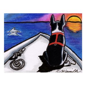 Boston Terrier Nautical Boat Sunset Off-Leash Art™ Postcard