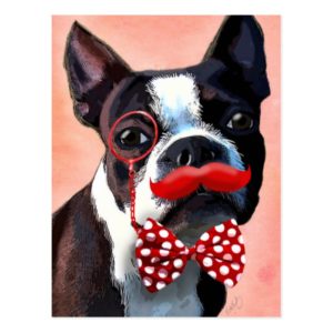 Boston Terrier Portrait with Red Bow Tie and 3 Postcard
