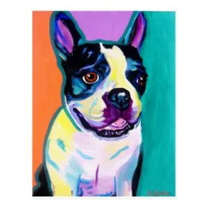 Boston Terrier Postcard