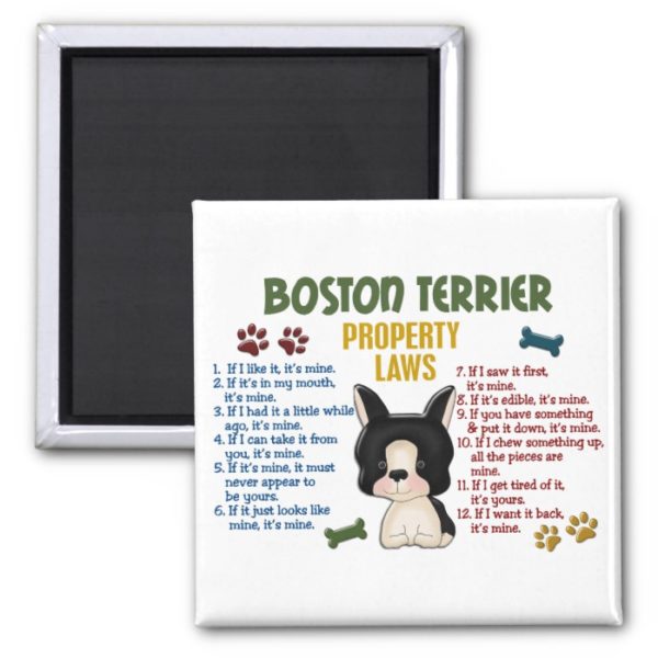 Boston Terrier Property Laws 4 Magnet