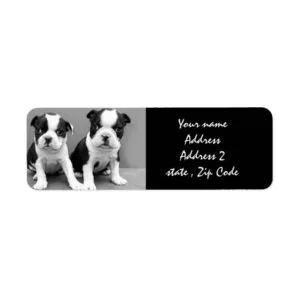 Boston Terrier Puppies Address Labels