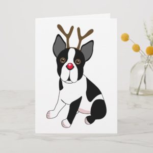 Boston Terrier Reindeer Holiday Card
