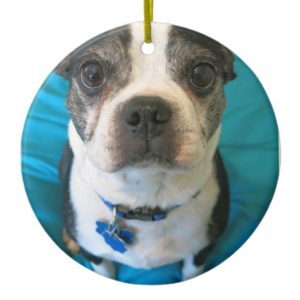 Boston Terrier sitting on a bed Ceramic Ornament