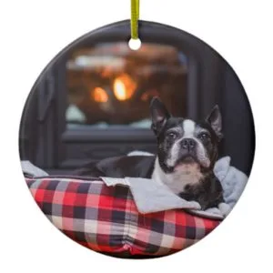 Boston Terrier Snuggles Ceramic Ornament