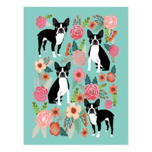 Boston Terrier Spring flowers -cute boston terrier Postcard