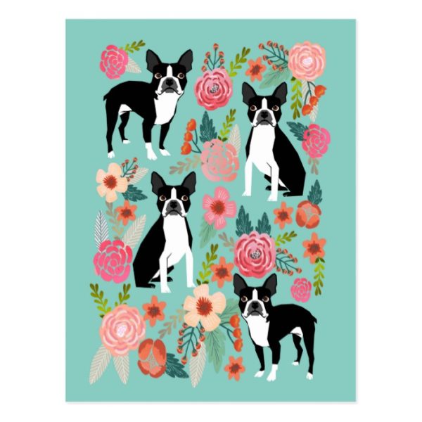 Boston Terrier Spring flowers -cute boston terrier Postcard