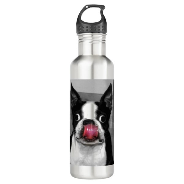 Boston Terrier Stainless Steel Water Bottle