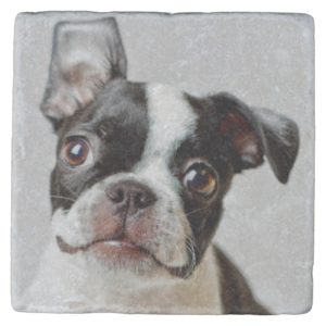 Boston Terrier Stone Coaster