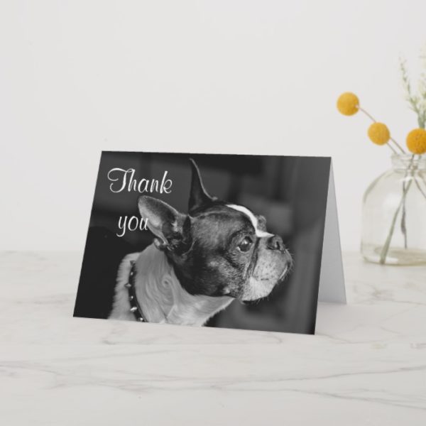 Boston terrier thank you card