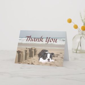 Boston Terrier Thank You Card Sandcastles