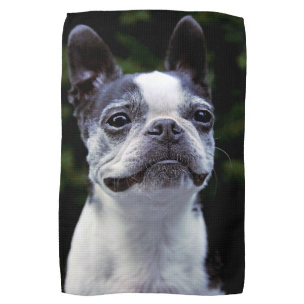 Boston Terrier Towel