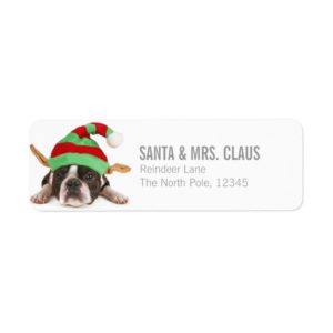 Boston Terrier With A Christmas Hat Label