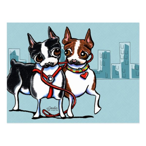 Boston Terriers Leashed Postcard