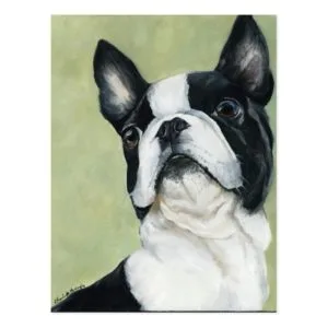BostonTerrier Original Dog Art Postcard