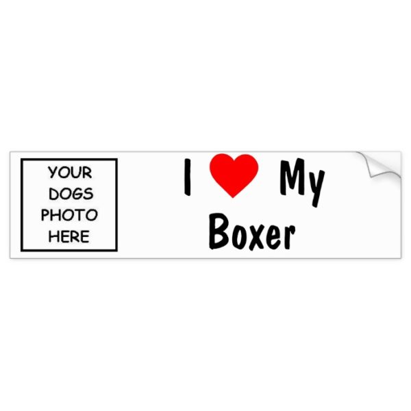 Boxer Bumper Sticker
