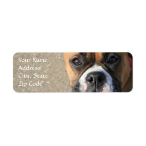 Boxer dog address Labels