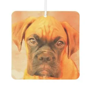Boxer dog air freshener