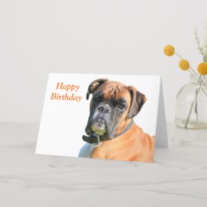 Boxer dog beautiful photo happy birthday card