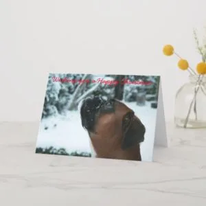 boxer Dog Christmas Card