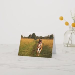 Boxer Dog Greeting Card
