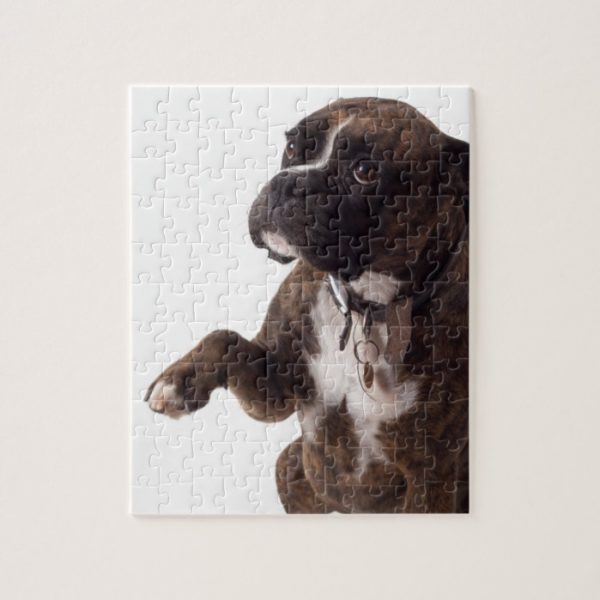 boxer dog jigsaw puzzle