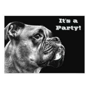 Boxer dog profile invitation