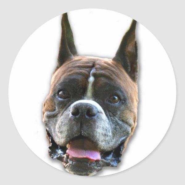 Boxer dog stickers