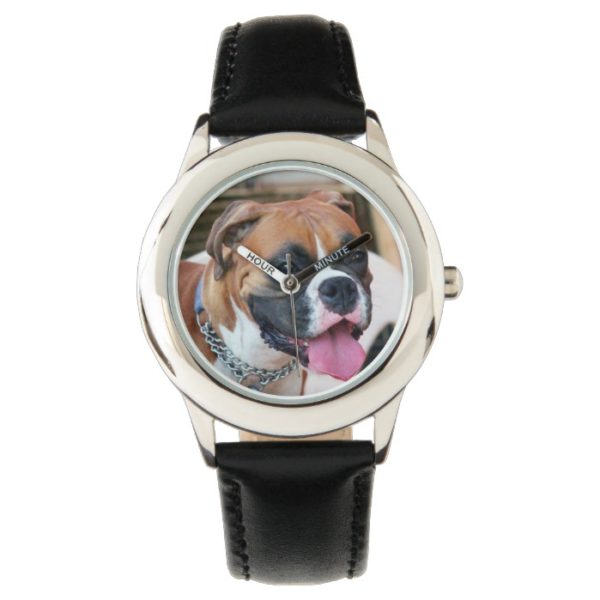 Boxer Dog Watch