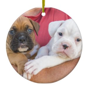 Boxer Puppies Ceramic Ornament