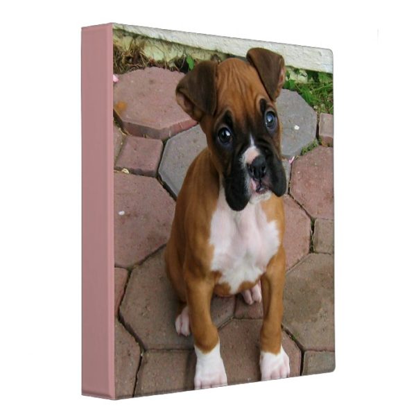 Boxer puppy binder