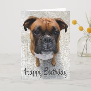 Boxer Puppy Dog  Happy Birthday Card  - Verse