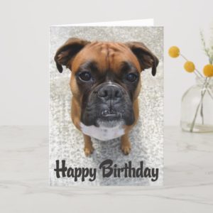 Boxer Puppy Dog  Happy Birthday Card  - Verse