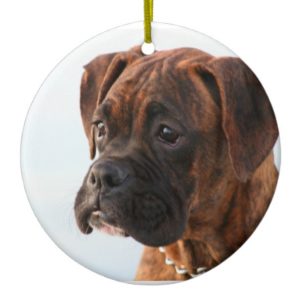 Boxer puppy ornament