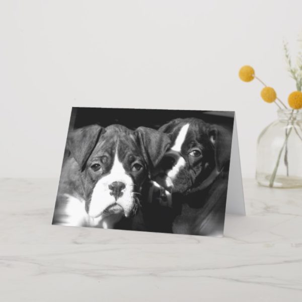 Boxer pups greeting card