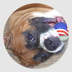 Boxer stickers