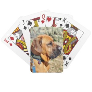 Brazilian Mastiff Playing Cards