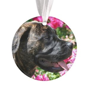 Brindle Mastiff puppy Ornament