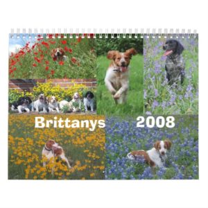 Brittany 2008 Calendar