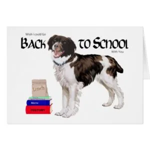 Brittany Back to School