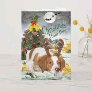 Brittany Bah Humbug Cards
