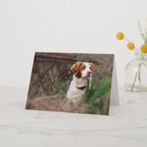 Brittany Birthday Card