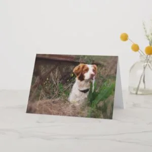Brittany Blank Card