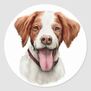 Brittany Bust Classic Round Sticker