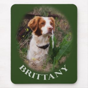 Brittany Mouse Pad
