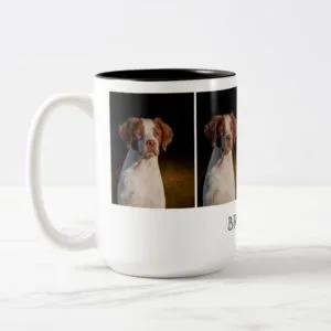 Brittany Mug