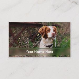 Brittany or Pet Industry Business Card