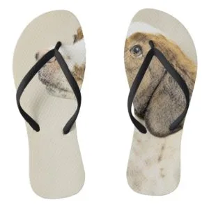 Brittany Painting - Cute Original Dog Art Flip Flops