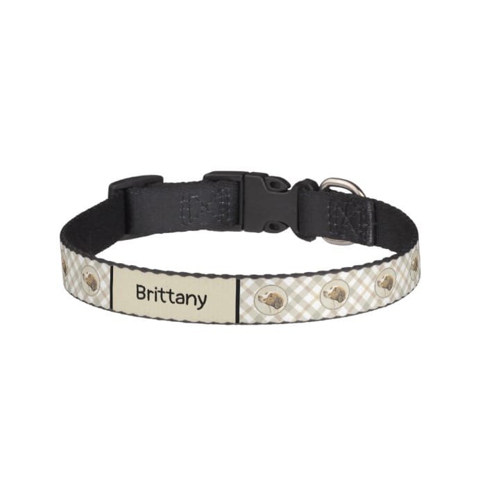 Brittany Painting - Cute Original Dog Art Pet Collar