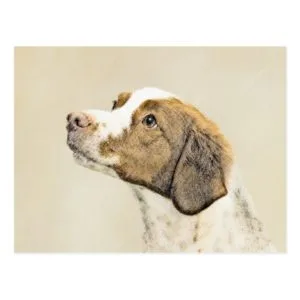 Brittany Painting - Cute Original Dog Art Postcard