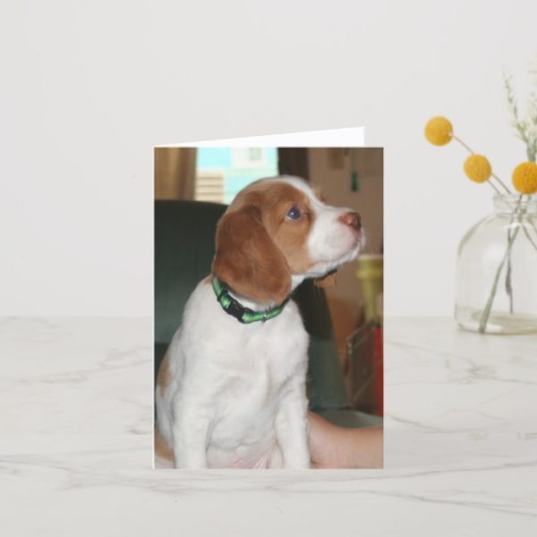 Brittany Puppy Notecard